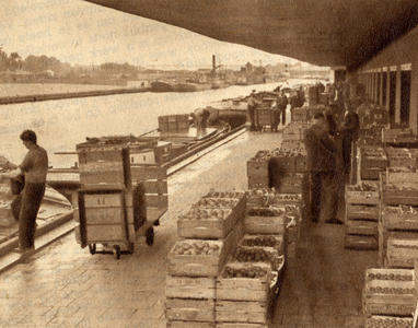 300164 Afbeelding van het laden van fruit op een schip in de Veilinghaven te Utrecht, op het terrein van het Gebouw ...